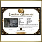 Digital Certificate of Authenticity - Lion of Judah by René Tesner - Product