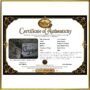 Digital Certificate of Authenticity - Lion of Judah by René Tesner - Product
