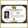 Digital Certificate of Authenticity - Rose of Sharon by René Tesner - Digital Download