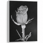 Rose of Sharon by René Tesner - High Quality Print on Stretched Canvas - Product with various sizes