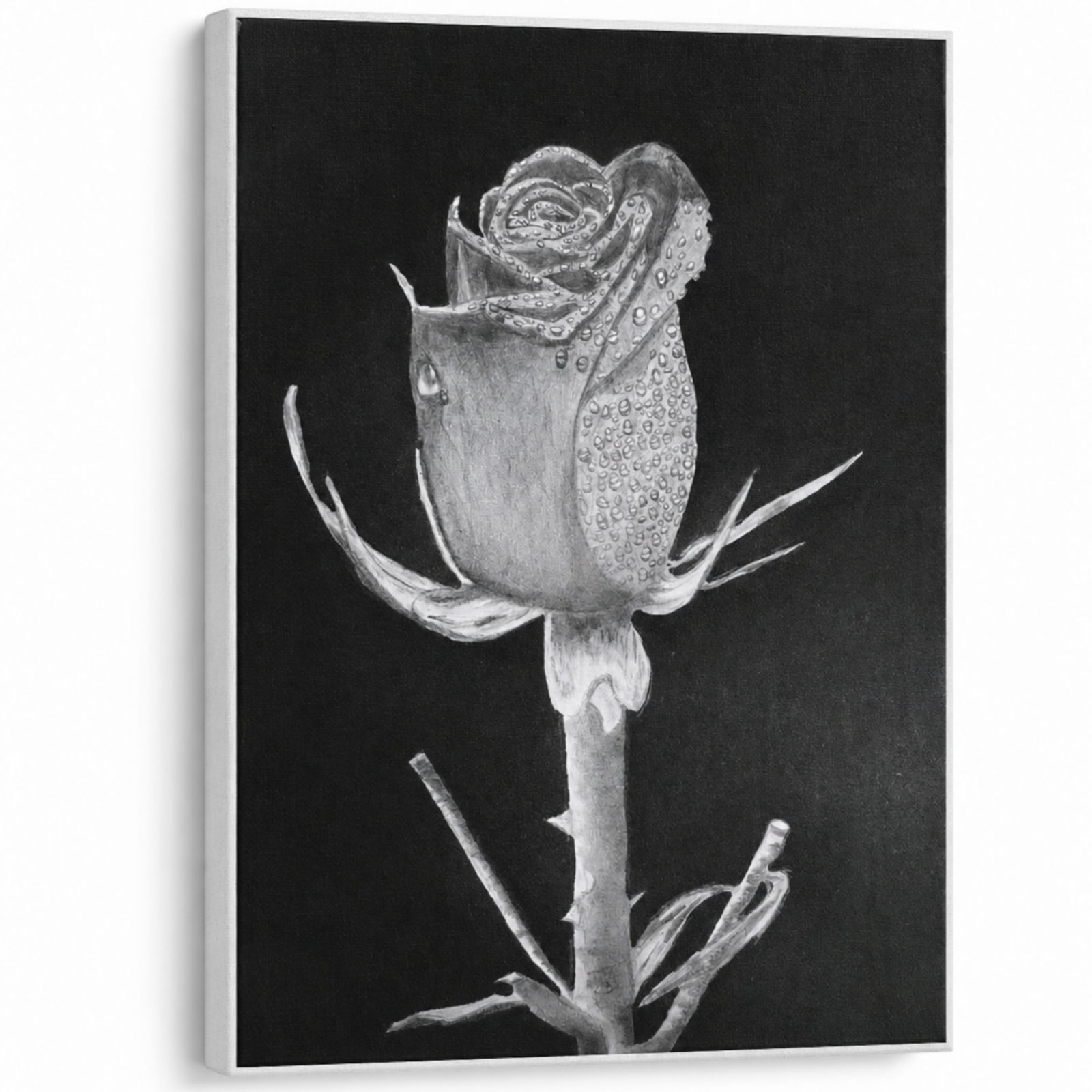 Rose of Sharon by René Tesner - High Quality Print on Stretched Canvas - Product with various sizes